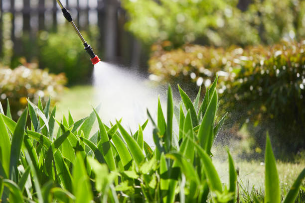 24/7 Emergency Wasp Removal experts in Milford, IL