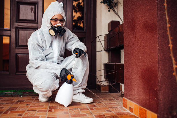 Reliable Wasp Removal contractor in Milford, IL by Show Me Pest Control