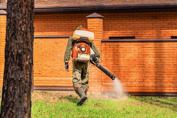 Top rated local Wasp Removal specialists in Milford, IL